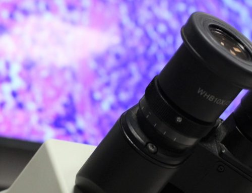 El Servei d’Anatomia Patològica obté l’acreditació UNE-EN ISO 15189 en Ginecopatologia i Patologia Molecular