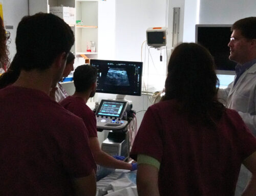 El curso ECOinTAR consolida el Hospital Joan XXIII como referente en ecografía intestinal