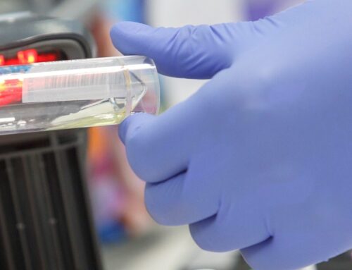 La Red de Genética del ICS publica un estudio sobre hallazgos prenatales incidentales