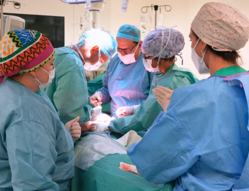 La Unidad de Cirugía de la Pared Abdominal del Hospital Joan XXIII recibe la acreditación de la Asociación Española de Cirujanos